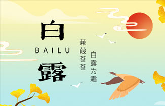 今日白露 | 白露至，涼風起，秋意濃